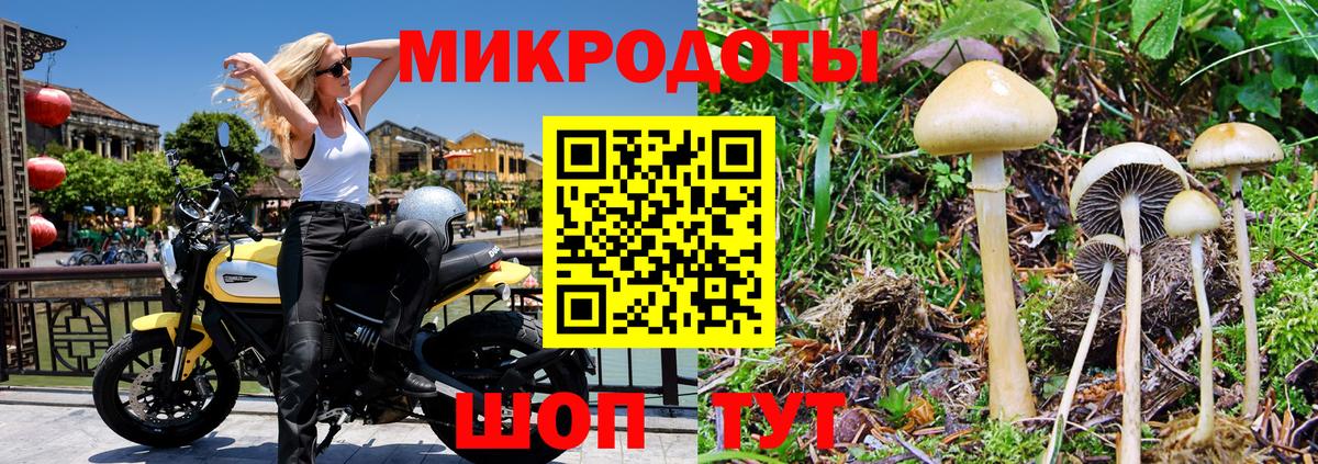 Галлюциногенные грибы Cubensis  закладки  Галлюциногенные грибы Cubensis  Топки  Вход с VPN 